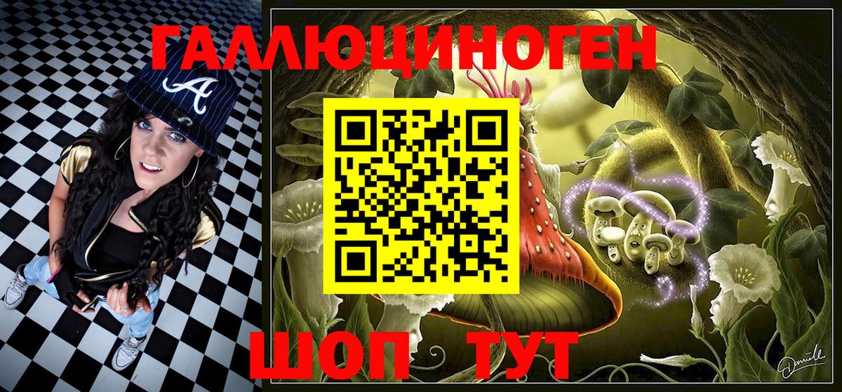 Галлюциногенные грибы Psilocybine cubensis Тимашёвск